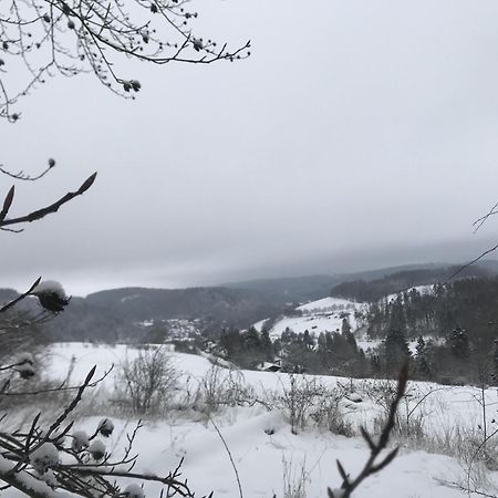 Bergchalet La Roubine Willingen Neerdar Экстерьер фото