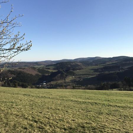 Bergchalet La Roubine Willingen Neerdar Экстерьер фото