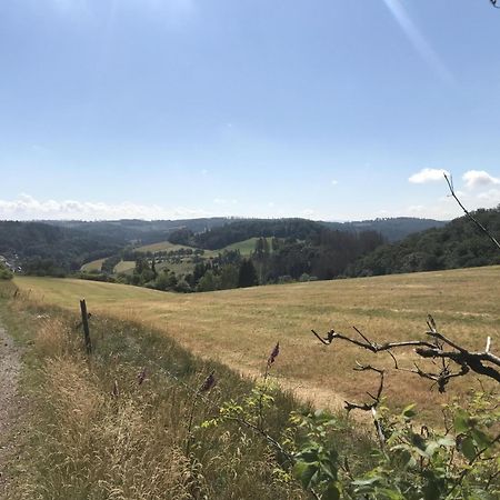 Bergchalet La Roubine Willingen Neerdar Экстерьер фото