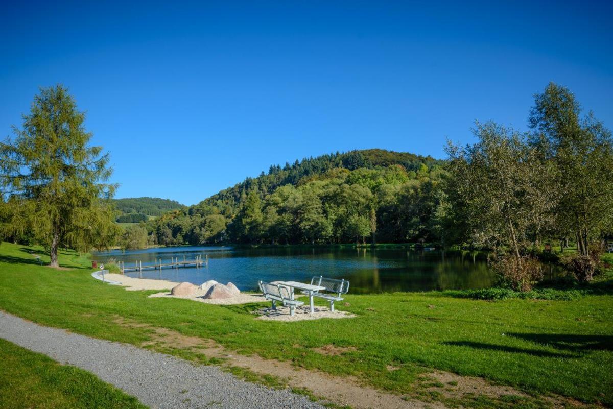 Bergchalet La Roubine Willingen Neerdar Экстерьер фото