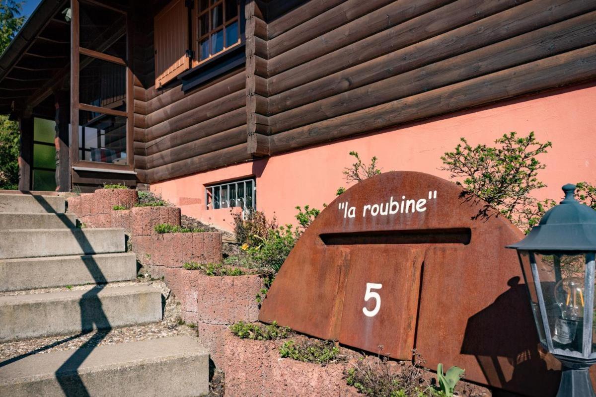 Bergchalet La Roubine Willingen Neerdar Экстерьер фото