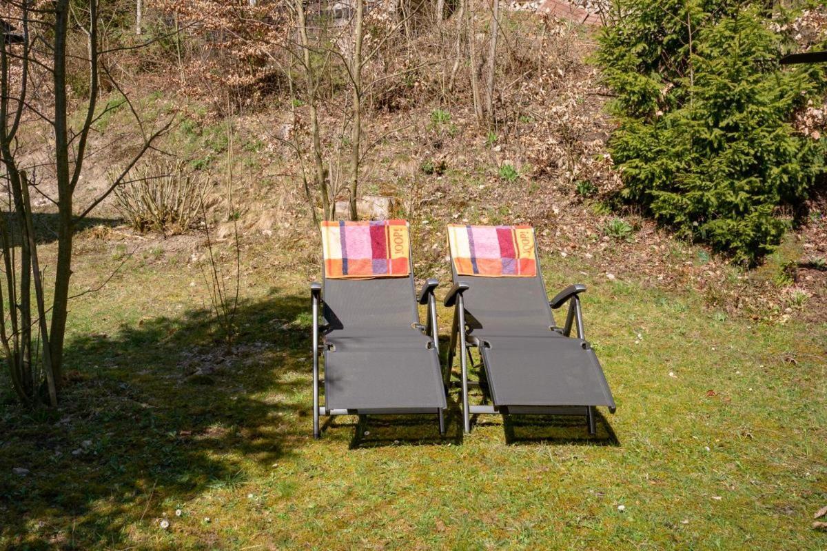 Bergchalet La Roubine Willingen Neerdar Экстерьер фото