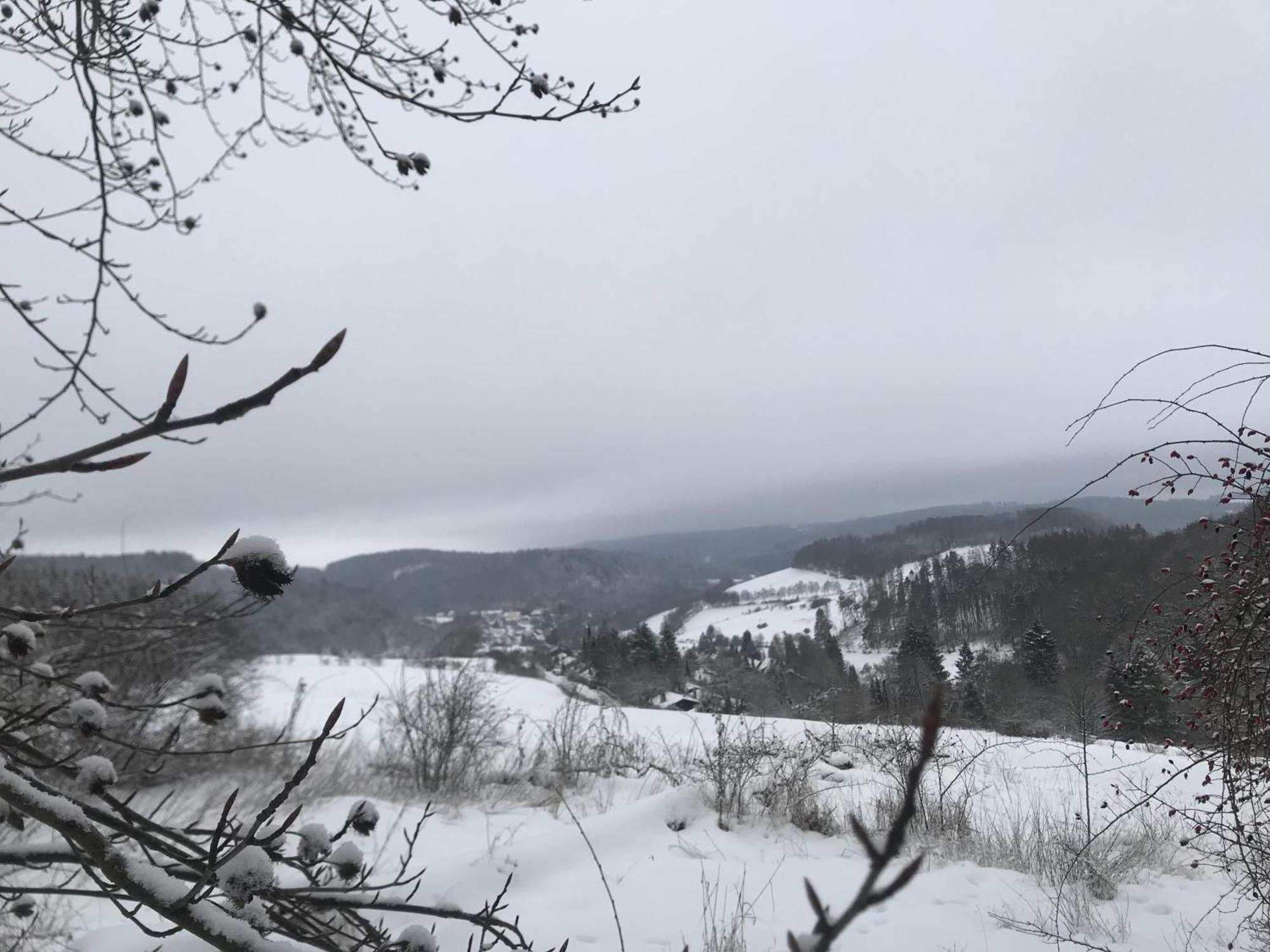 Bergchalet La Roubine Willingen Neerdar Экстерьер фото