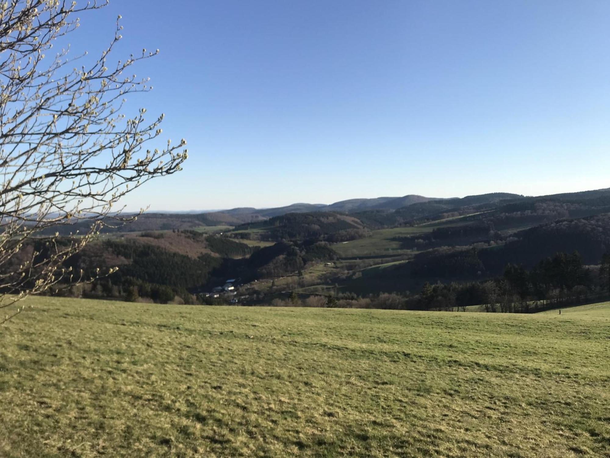 Bergchalet La Roubine Willingen Neerdar Экстерьер фото