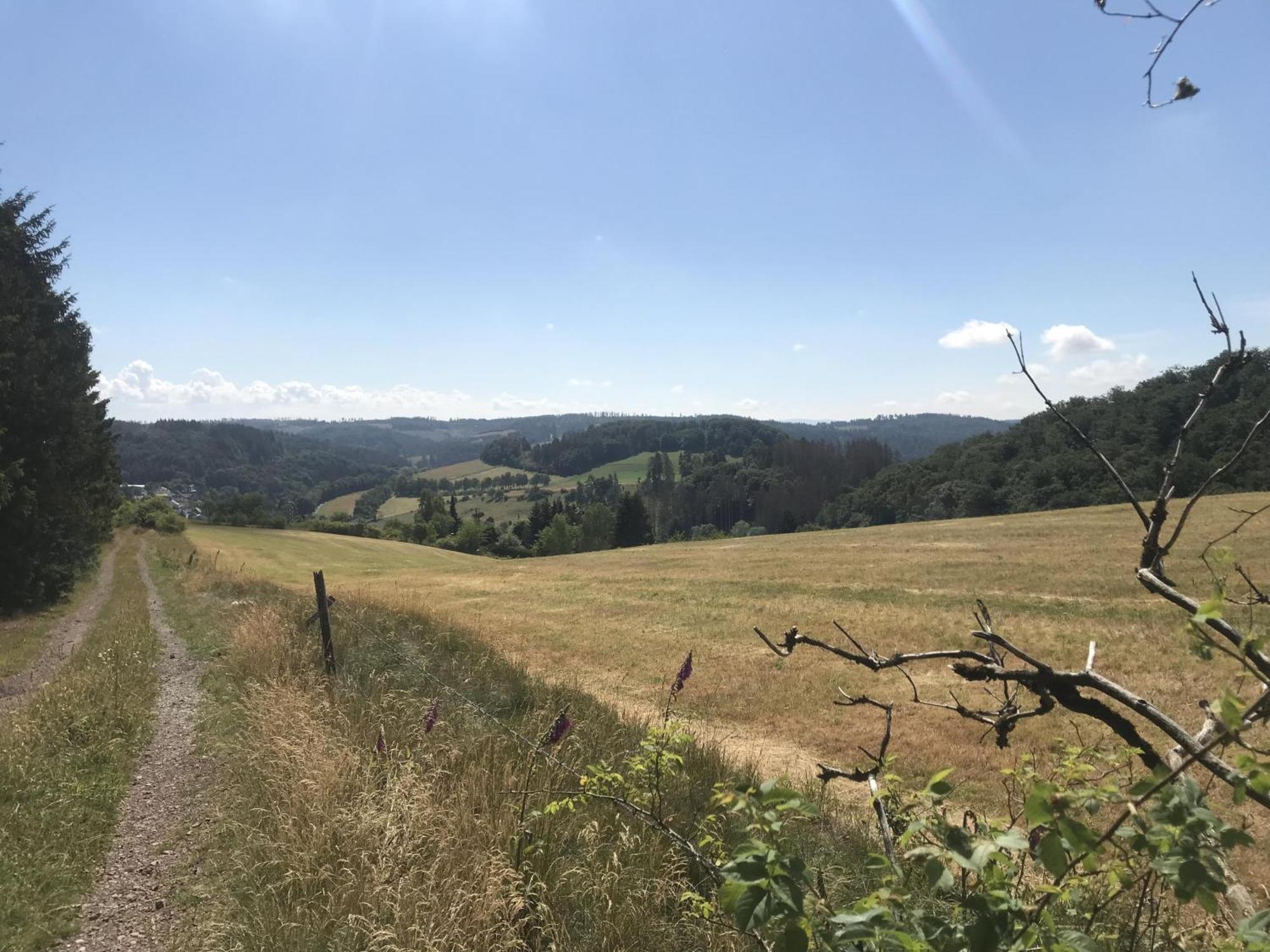 Bergchalet La Roubine Willingen Neerdar Экстерьер фото